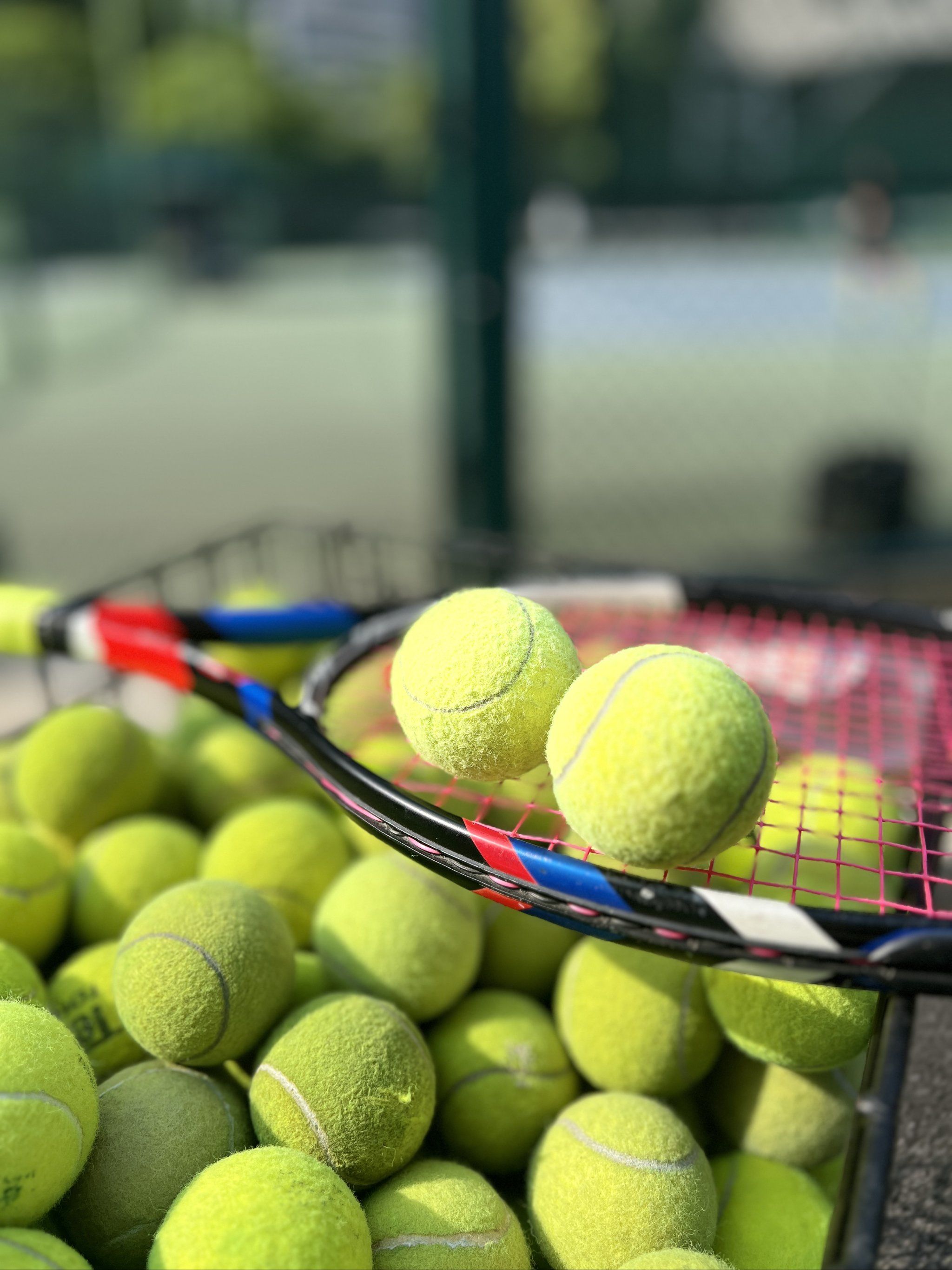 然短期内可 然短期内可