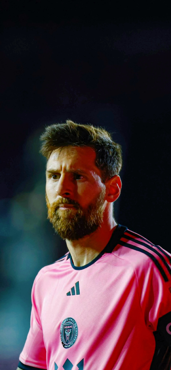 他已不再是 他已不再是