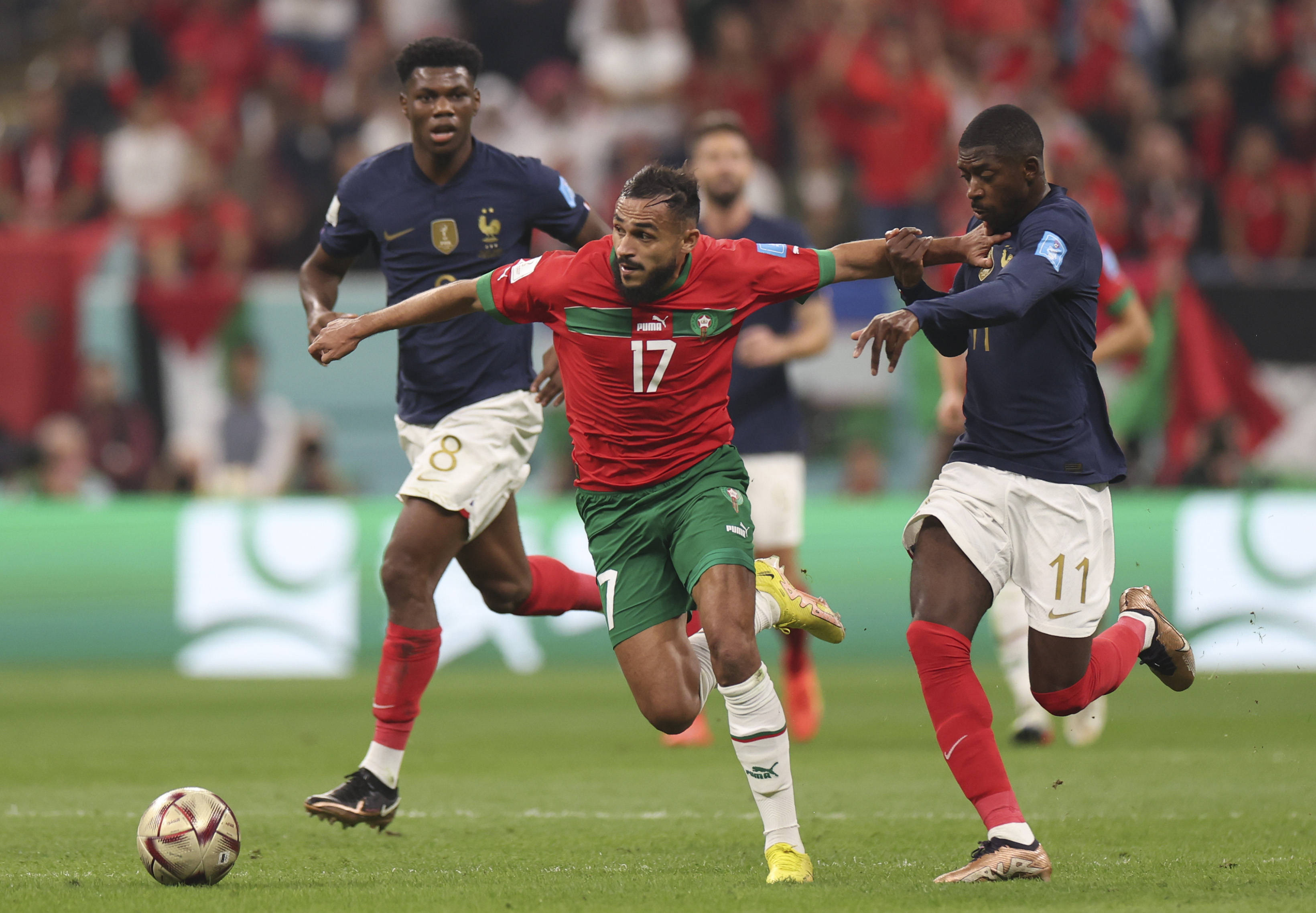 赛节奏的掌 赛节奏的掌