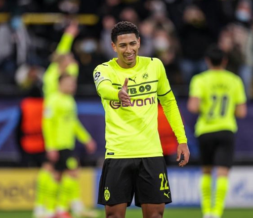 谢鹏飞属于 谢鹏飞属于